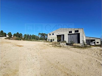 listing-picture-0