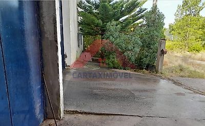listing-picture-0