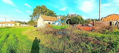 listing-picture-0