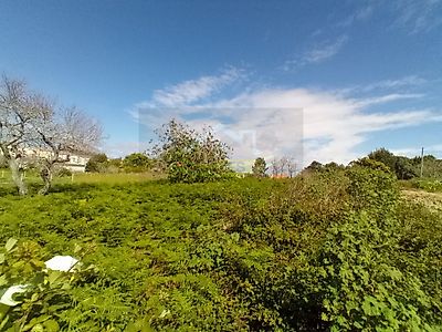 listing-picture-0