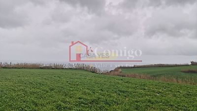 listing-picture-0