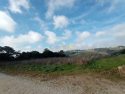 listing-picture-0