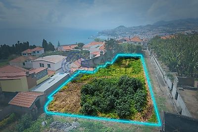 listing-picture-0