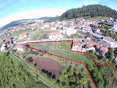 listing-picture-0