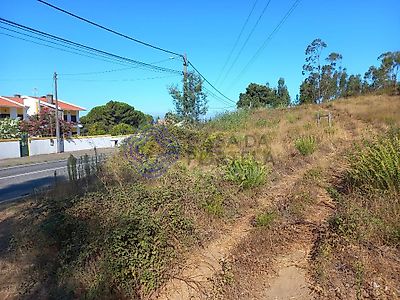 listing-picture-0