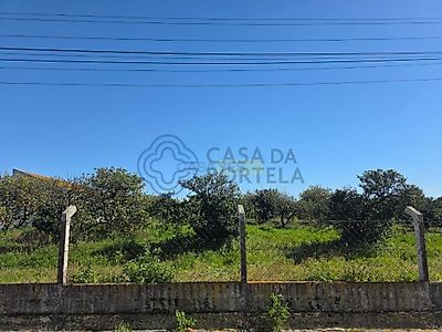 listing-picture-0