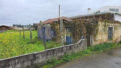 listing-picture-0