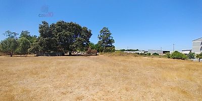 listing-picture-0