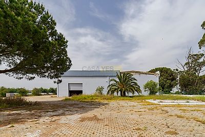 listing-picture-0