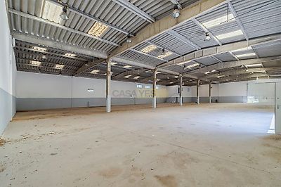 listing-picture-0