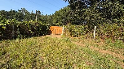 listing-picture-0