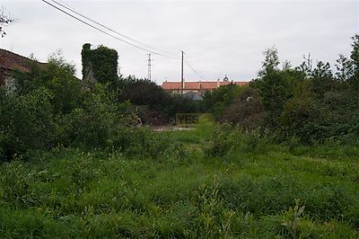 listing-picture-0