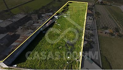 listing-picture-0