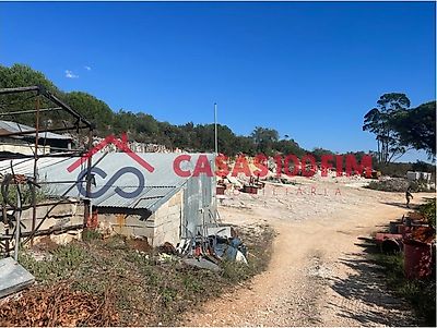 listing-picture-0