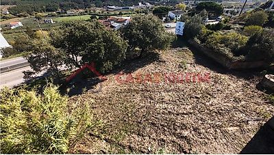 listing-picture-0