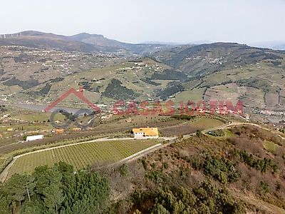 listing-picture-0