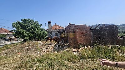 listing-picture-0