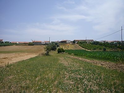 listing-picture-0