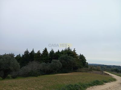 listing-picture-0