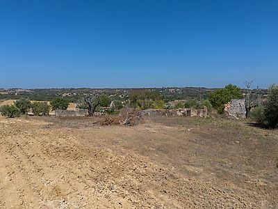 listing-picture-0