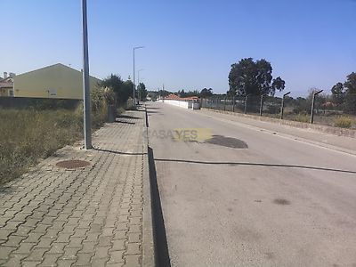 listing-picture-0