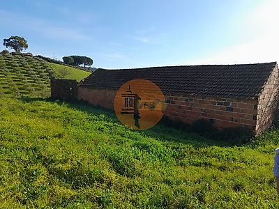 listing-picture-0