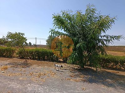 listing-picture-0