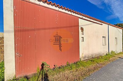 listing-picture-0