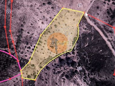 listing-picture-0
