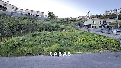 listing-picture-0