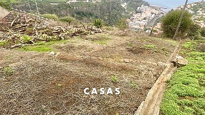 listing-picture-0