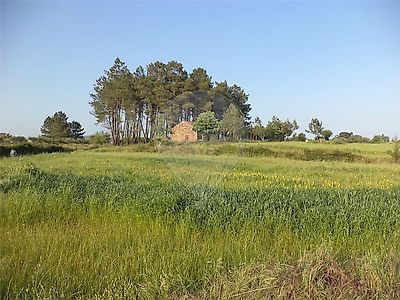 listing-picture-0