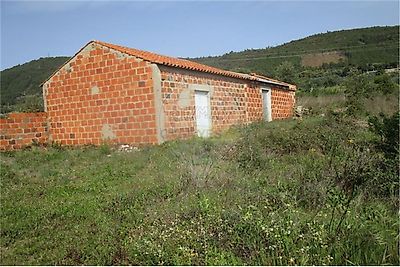 listing-picture-0