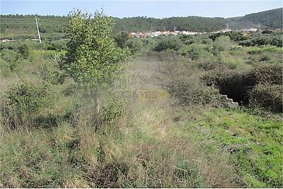 listing-picture-0