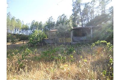 listing-picture-0