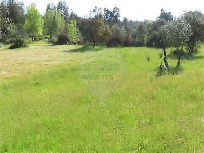 listing-picture-0
