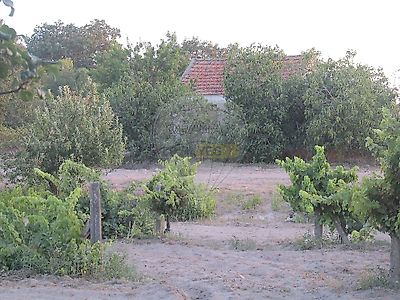 listing-picture-0