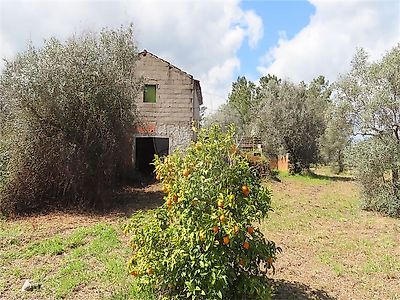 listing-picture-0