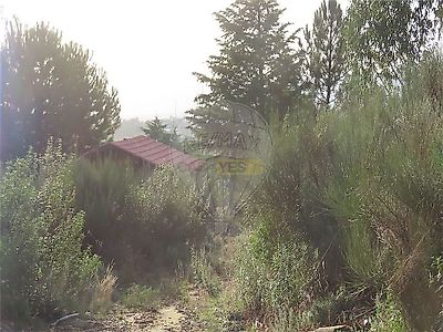 listing-picture-0