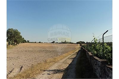 listing-picture-0