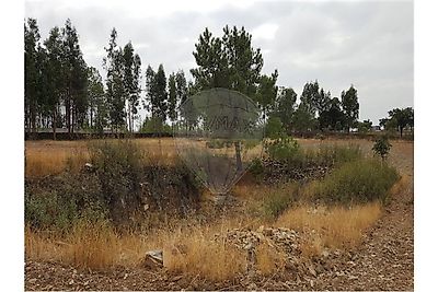 listing-picture-0