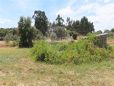 listing-picture-0