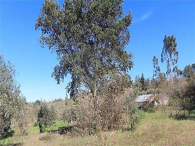 listing-picture-0
