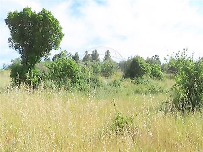listing-picture-0