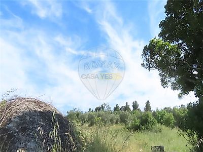 listing-picture-0