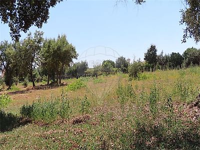 listing-picture-0