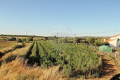 listing-picture-0