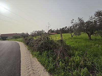 listing-picture-0