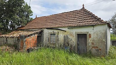 listing-picture-0