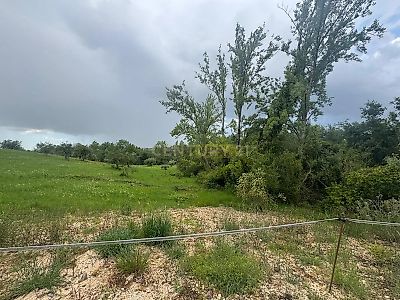 listing-picture-0